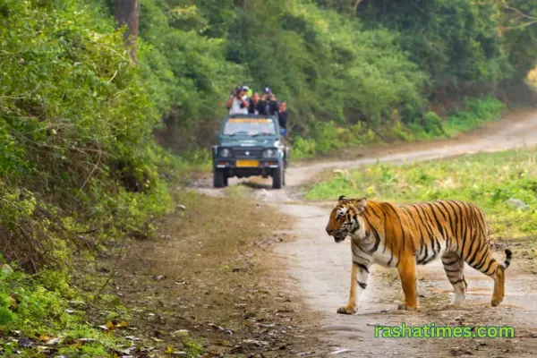 उत्तराखंड में घूमने के लिए सर्वोत्तम 20 पर्यटन स्थल