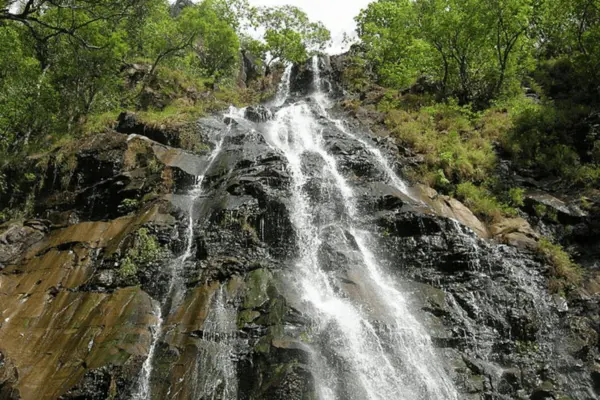 पचमढ़ी में परिवार के साथ वीकेंड ट्रिप