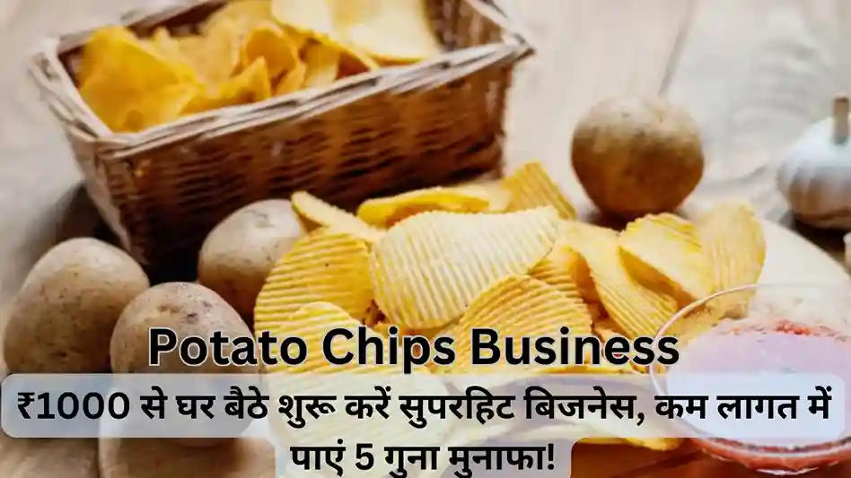 Potato Chips Business