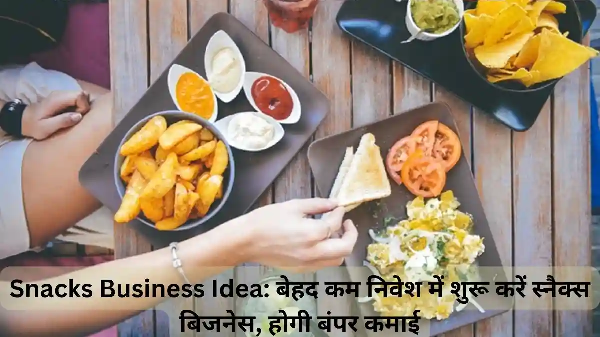 Snacks Business Idea बेहद कम निवेश में शुरू करें स्नैक्स बिजनेस, होगी बंपर कमाई