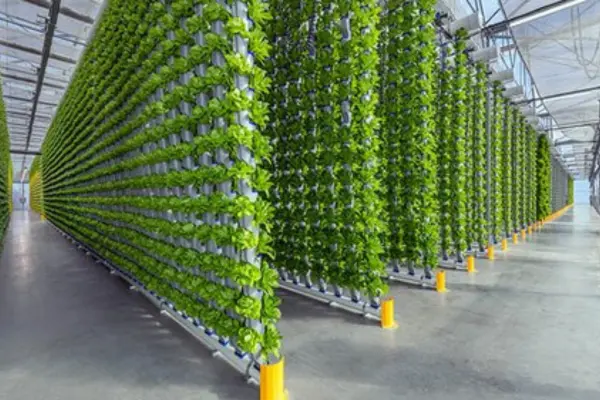 Aquaponic Farming Business Idea