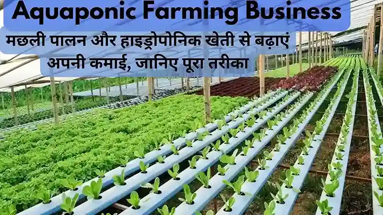 Aquaponic Farming Business Idea