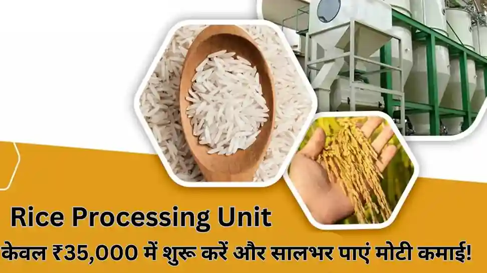 Rice Processing Unit Business