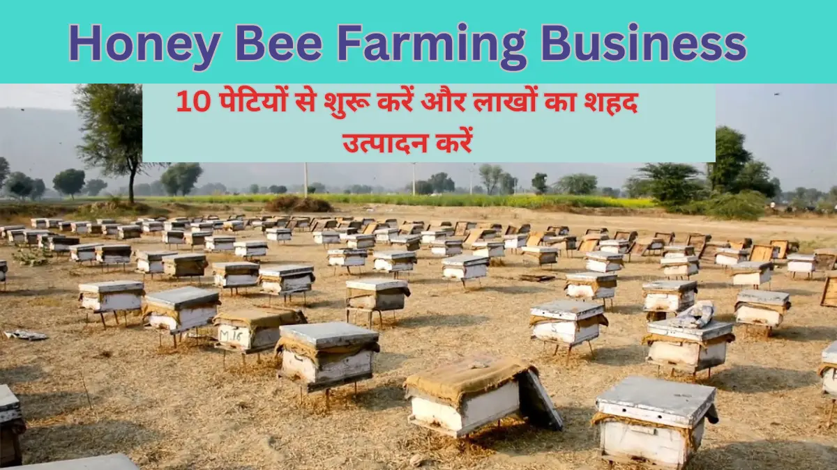 Honey Bee Farming Business