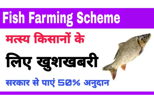 Fish Farming Scheme 2025