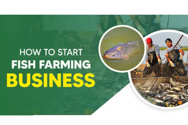 Fish Farming Scheme 2025