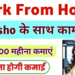 Meesho Work From Home Jobs