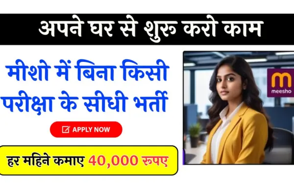 Meesho Work From Home Jobs