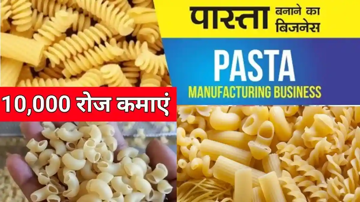 Pasta Manufacturing Business