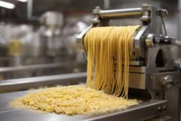 Pasta Manufacturing Business