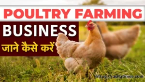 Poultry Farm Business