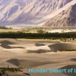 Hunder Desert of Leh Ladakh