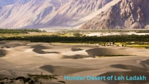 Hunder Desert of Leh Ladakh